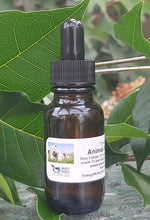 Load image into Gallery viewer, Animal Stress blend 25ml