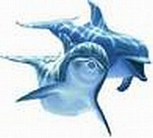 Load image into Gallery viewer, Personalised Vibrational Essence blend 25ml