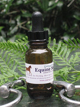 Load image into Gallery viewer, Equine Stress blend 25ml