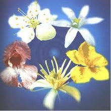 Load image into Gallery viewer, Rescue Remedy 25ml