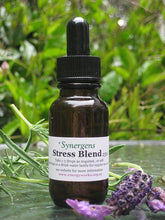 Load image into Gallery viewer, Stress blend 25ml
