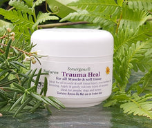 Load image into Gallery viewer, Trauma Heal cream