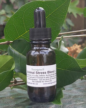 Load image into Gallery viewer, Animal Stress blend 25ml
