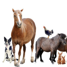 Load image into Gallery viewer, Animal Stress blend 25ml
