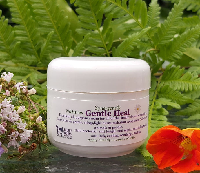 Gentle Heal cream 50gm